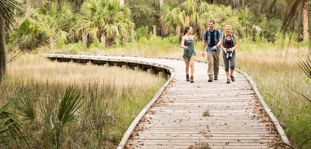 Fall refresh: luxury vinyl flooring in Sarasota & Manatee Counties