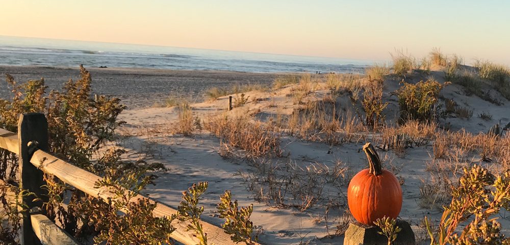 Celebrate Thanksgiving in Sarasota with beautiful floors