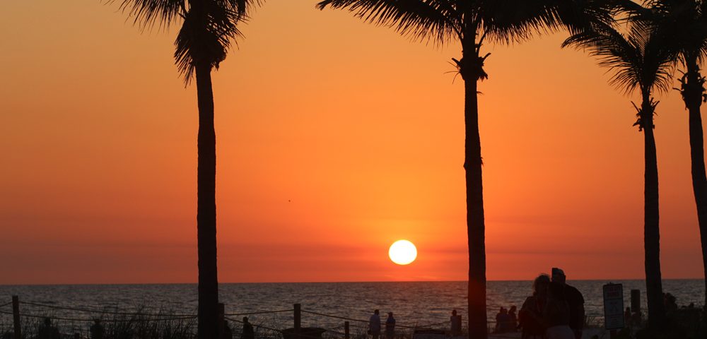 February is the perfect time for a fresh start with new floors